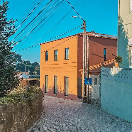 The Lost Garden * Vila Nova de Gaia